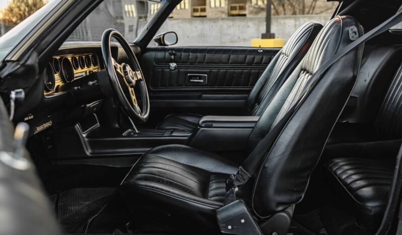 
								1976 Pontiac Firebird Trans AM Special Edition full									