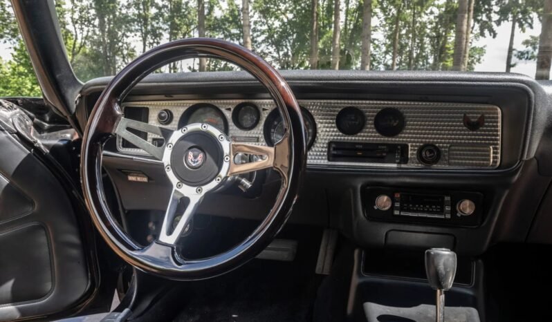
								1979 Pontiac Firebird Trans AM full									