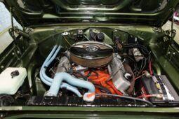 
										1969 Plymouth Road Runner Metallic Green full									