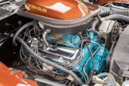 
										1978 Pontiac Firebird 400 Trans AM V8 full									