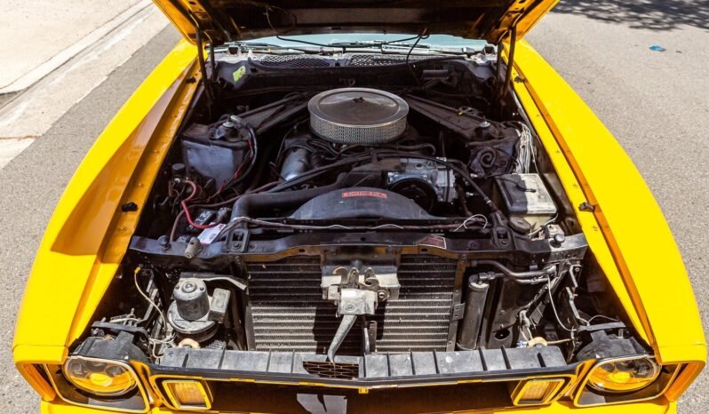 
								1973 Ford Mustang Mach 1 351 V8 full									