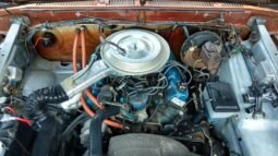 
										1979 Ford Bronco Custom 4X4 full									