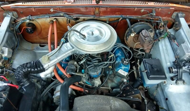 
								1979 Ford Bronco Custom 4X4 full									