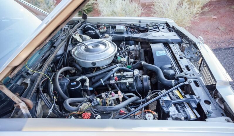 
								1981 Ford LTD Country Squire Wagon full									