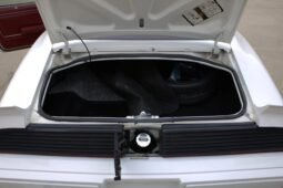 
										1979 Pontiac Firebird Trans AM WS6 3-Speed full									