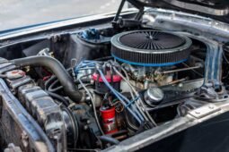
										1967 Ford Mustang 302ci V8 full									