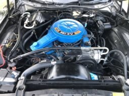 
										1976 Ford Gran Torino full									