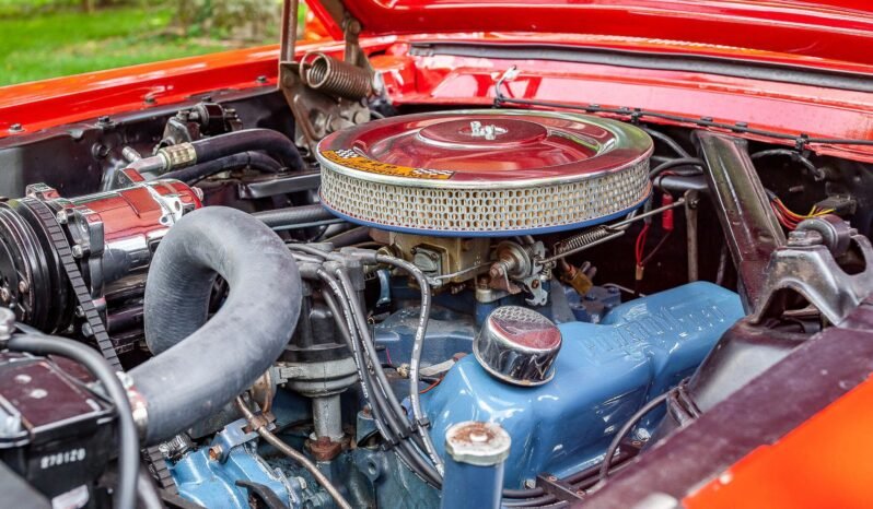 
								1966 Ford Mustang Fastback full									