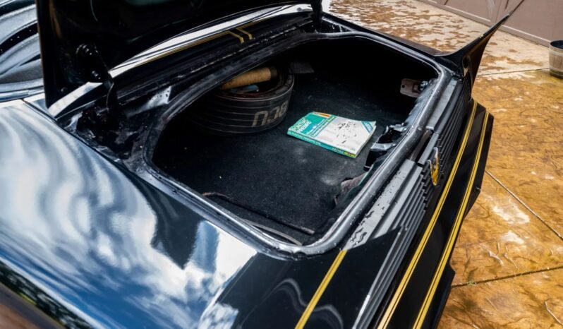 
								1979 Pontiac Firebird Trans AM full									