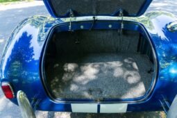 
										1966 Shelby Cobra Replica V8 full									