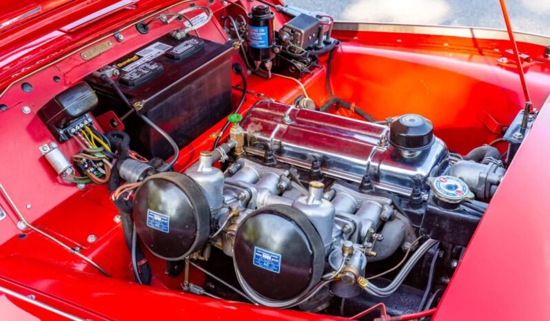 
								1957 Triumph TR3 full									