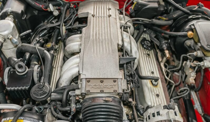 
								1988 Pontiac Firebird Trans AM full									