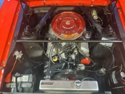 
										1965 Ford Mustang Red V8 full									