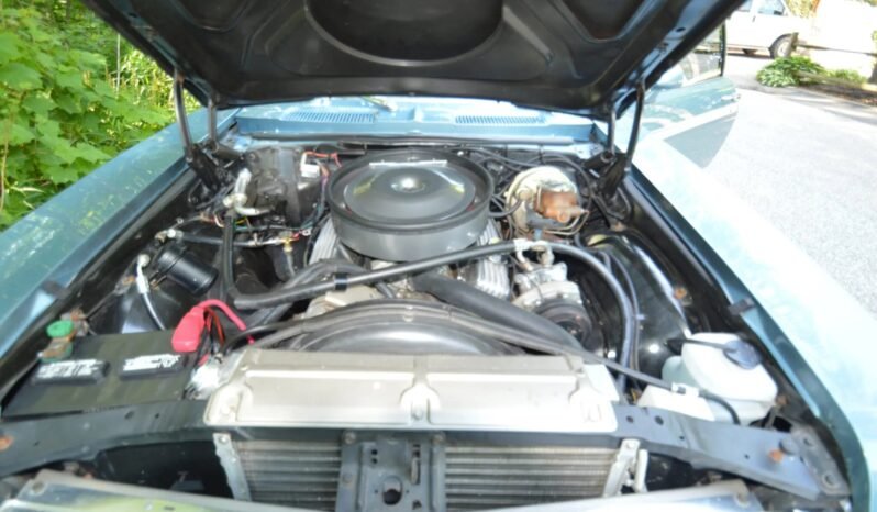 
								1972 Chevrolet Nova full									