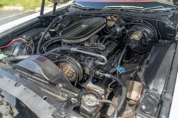 
										1979 Ford Ranchero 500 Special Edition full									