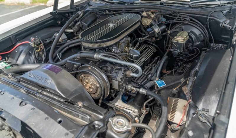 
								1979 Ford Ranchero 500 Special Edition full									