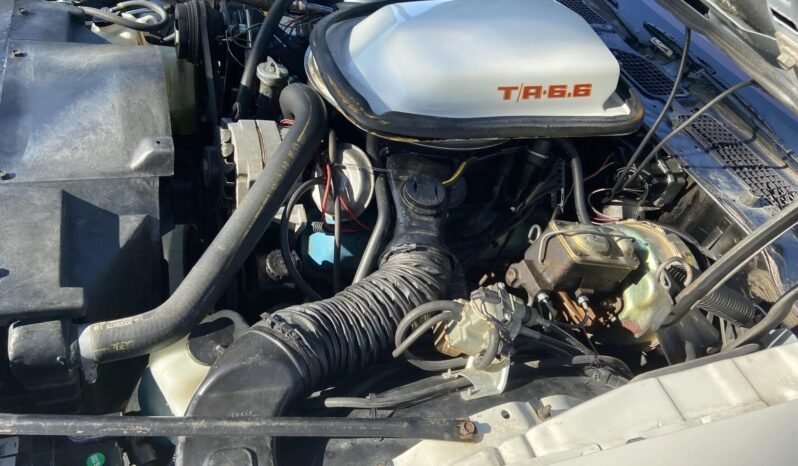 
								1979 Pontiac Firebird Trans AM WS6 3-Speed full									