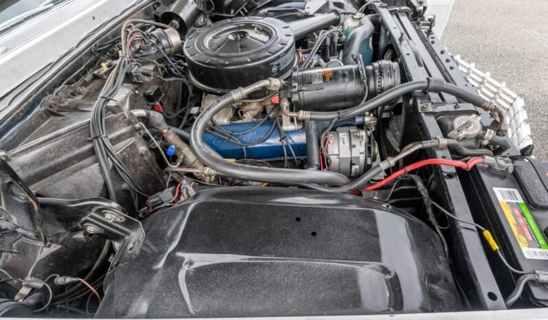 
								1966 Cadillac Eldorado Convertible full									