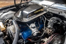 
										1979 Pontiac Firebird Trans AM full									