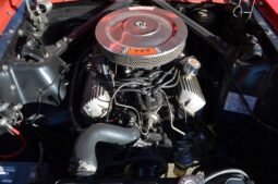 
										1965 Ford Mustang Fastback GT V8 full									