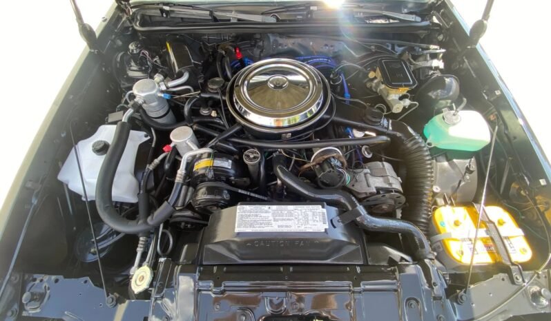 
								1986 Oldsmobile Cutlass 442 full									