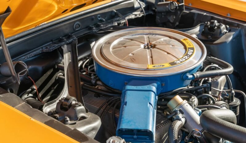 
								1970 Ford Mustang Boss 302 full									