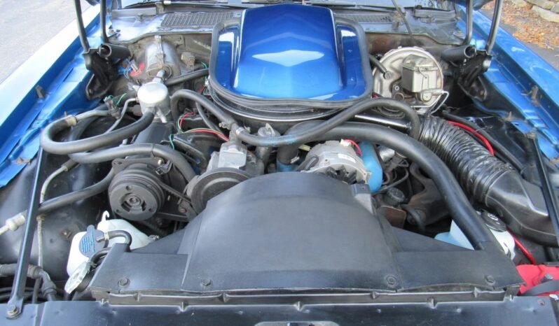
								1978 Pontiac Firebird Trans AM 403 V8 full									