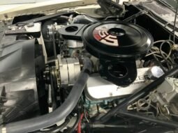 
										1973 Pontiac Firebird Formula full									