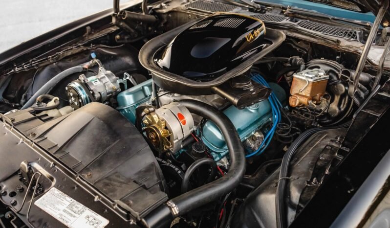 
								1976 Pontiac Firebird Trans AM Special Edition full									