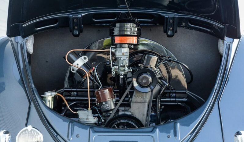 
								1953 Volkswagen Beetle full									