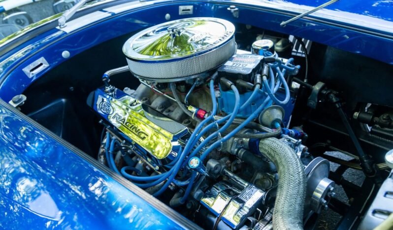 
								1966 Shelby Cobra Replica V8 full									