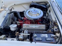 
										1956 Ford Thunderbird V8 White full									