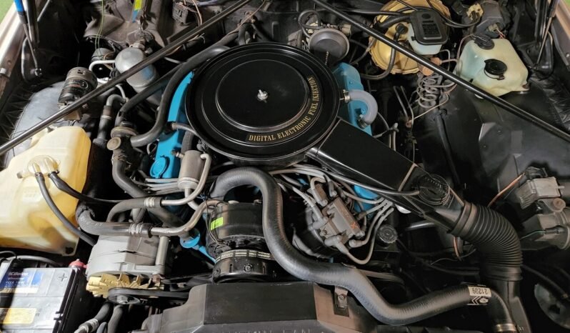 
								1980 Cadillac Eldorado Biarritz full									