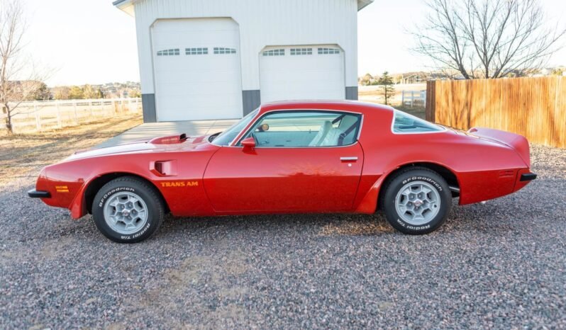 
								1975 Pontiac Firebird Trans AM full									