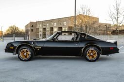 1976 Pontiac Firebird Trans AM Special Edition