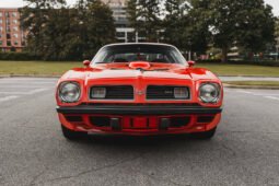 1975 Pontiac Firebird Trans AM V8