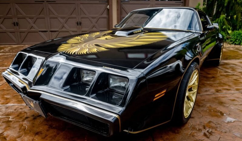 
								1979 Pontiac Firebird Trans AM full									