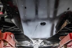 
										1977 Volkswagen Meyers Manx full									