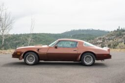 1978 Pontiac Firebird 400 Trans AM V8