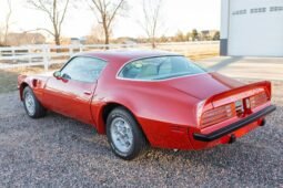 1975 Pontiac Firebird Trans AM