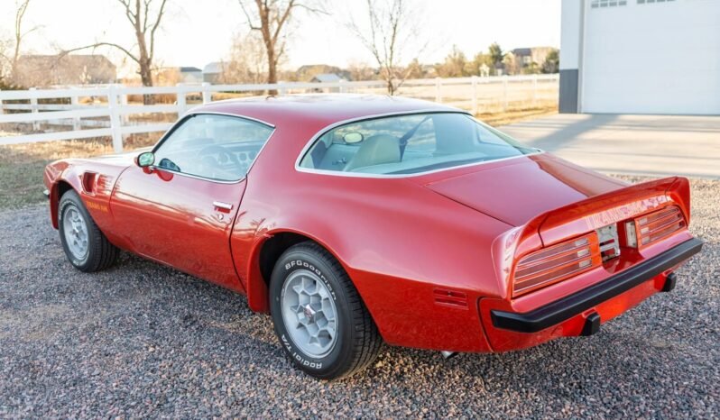 
								1975 Pontiac Firebird Trans AM full									