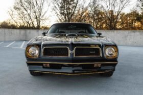 1976 Pontiac Firebird Trans AM Special Edition