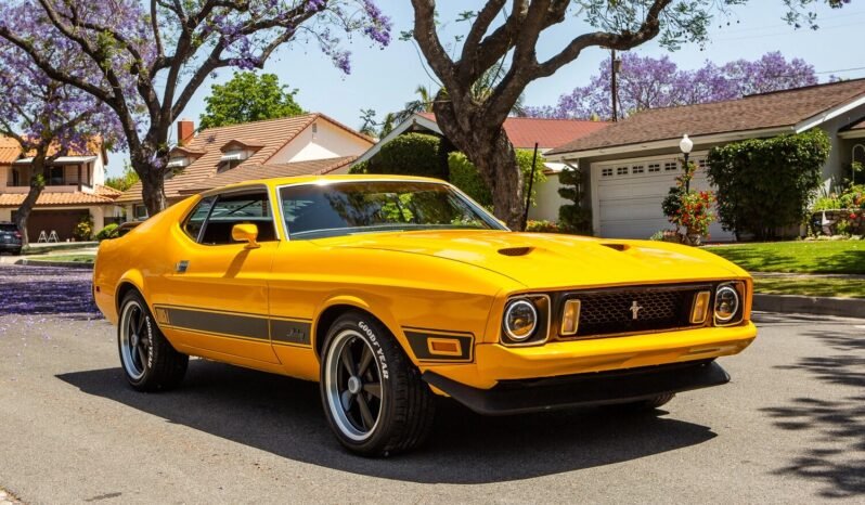 
								1973 Ford Mustang Mach 1 351 V8 full									