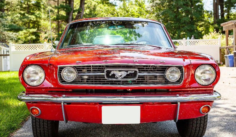 
								1966 Ford Mustang Fastback full									