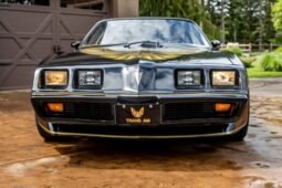 1979 Pontiac Firebird Trans AM