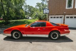 1988 Pontiac Firebird Trans AM