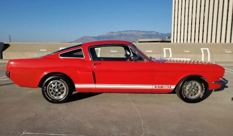 
								1965 Ford Mustang Red V8 full									