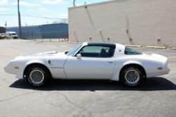 1979 Pontiac Firebird Trans AM WS6