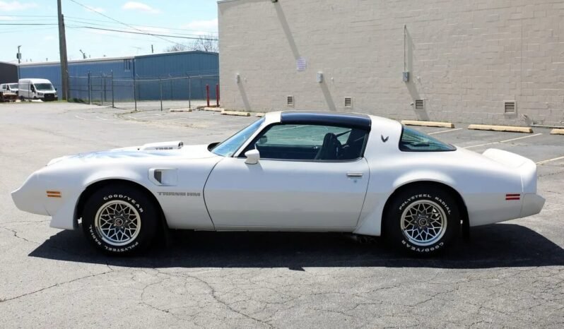 
								1979 Pontiac Firebird Trans AM WS6 full									