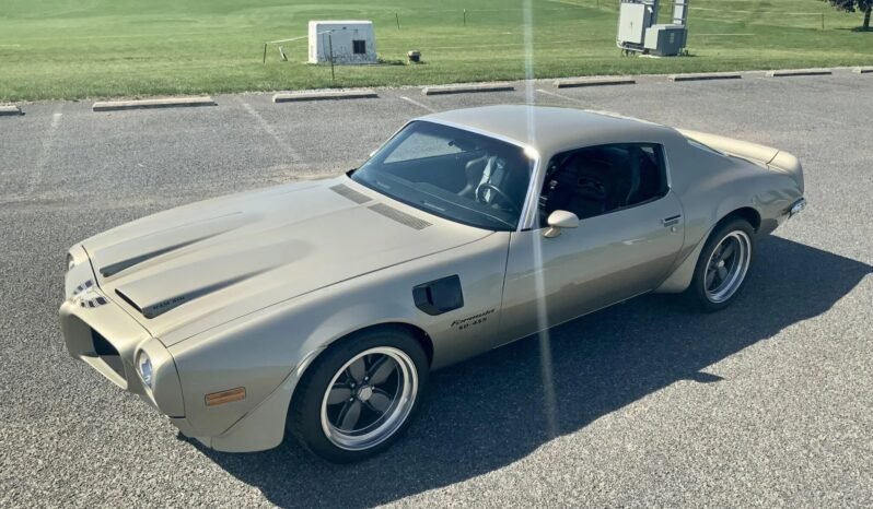 
								1973 Pontiac Firebird Formula full									